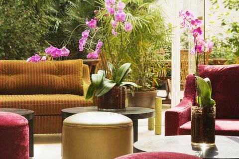 Orchidee Parijs